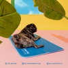 image:imageThe Green Pet Shop Cool Pet Pad  Medium Sage Grey  SelfCooling Pressure Activated Mat for Dogs amp Cats from 2145 lbs  NonToxic Gel No Water NeededBlue