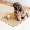 image:imageThe Green Pet Shop Cool Pet Pad  Medium Sage Grey  SelfCooling Pressure Activated Mat for Dogs amp Cats from 2145 lbs  NonToxic Gel No Water NeededIced Latte