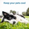 image:imageThe Green Pet Shop Cool Pet Pad  Medium Sage Grey  SelfCooling Pressure Activated Mat for Dogs amp Cats from 2145 lbs  NonToxic Gel No Water NeededMickey  Minnie