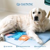 image:imageThe Green Pet Shop Cool Pet Pad  Medium Sage Grey  SelfCooling Pressure Activated Mat for Dogs amp Cats from 2145 lbs  NonToxic Gel No Water NeededStitch