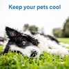 image:imageThe Green Pet Shop Cool Pet Pad  Medium Sage Grey  SelfCooling Pressure Activated Mat for Dogs amp Cats from 2145 lbs  NonToxic Gel No Water NeededStitch