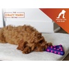 image:imageThe Green Pet Shop Crazy Warm Pad  A Pet Warming Pad for Cats and Dogs Keep Them Warm This Winter  Self Warming Cat Pad Provides Immediate Warmth Without Electricity  30 x 20 Inches