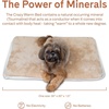 image:imageThe Green Pet Shop Crazy Warm Pet Bed  Hazelnut 30 x 20 x 15  SelfWarming Mat for Dogs amp Cats  Memory Foam for Comfort  Doubles as Crate Pad
