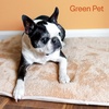 image:imageThe Green Pet Shop Crazy Warm Pet Bed  Hazelnut 30 x 20 x 15  SelfWarming Mat for Dogs amp Cats  Memory Foam for Comfort  Doubles as Crate Pad