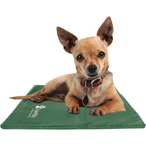 image:imageThe Green Pet Shop Dog Cooling Mat Cover Extra Small  Protect Your Gel Cooling Mat for Dogs from Dirt and Damage  EasyCare and Machine Washable  Green
