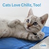 image:imageThe Green Pet Shop Chillz Gel Mat Large  PressureActivated Cooling Pad for Pets 2550 lbs  NonToxic No Water or Refrigeration Needed  Ideal for Home Travel amp CratesM